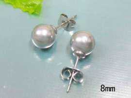 Stainless Steel Earring