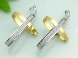 SS Gold-Plating Earring