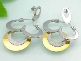 SS Gold-Plating Earring