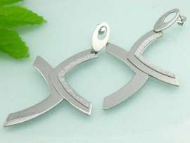 Stainless Steel Earring
