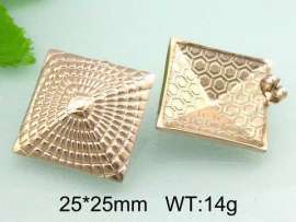 SS Gold-Plating Earring