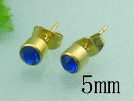 SS Gold-Plating Earring