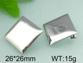 Stainless Steel Earring