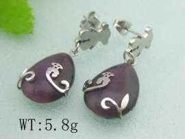 Stainless Steel Earring