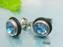 Stainless Steel Earring