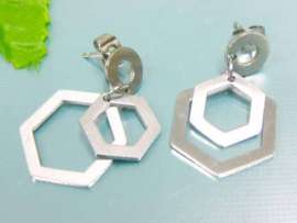 Stainless Steel Earring