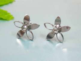 Stainless Steel Earring