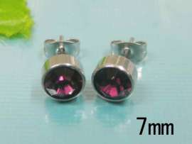 Stainless Steel Earring