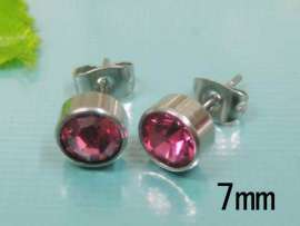 Stainless Steel Earring