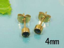Stainless Steel Gold-Plating Earring
