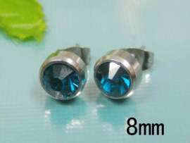 Stainless Steel Earring