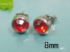 Stainless Steel Earring