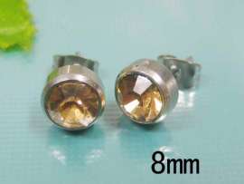 Stainless Steel Earring