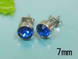 Stainless Steel Earring
