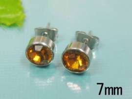 Stainless Steel Earring