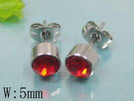 Stainless Steel Earring