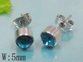 Stainless Steel Earring