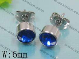 Stainless Steel Earring