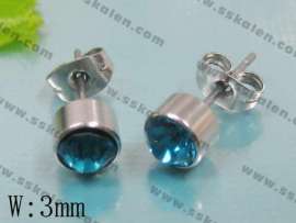 Stainless Steel Earring