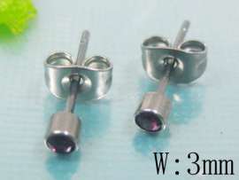 Stainless Steel Earring