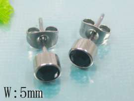 Stainless Steel Earring