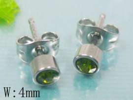 Stainless Steel Earring
