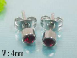 Stainless Steel Earring