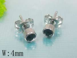 Stainless Steel Earring