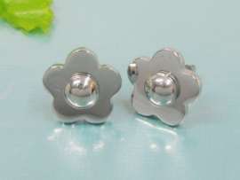 Stainless Steel Earring