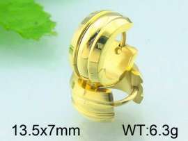 SS Gold-Plating Earring