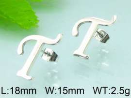Stainless Steel Earring
