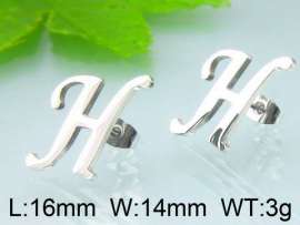 Stainless Steel Earring