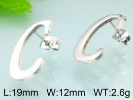 Stainless Steel Earring