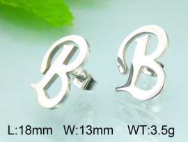 Stainless Steel Earring
