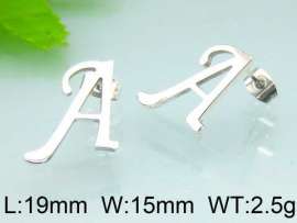 Stainless Steel Earring