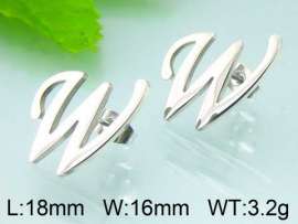 Stainless Steel Earring