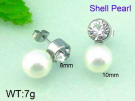 Stainless Steel Earrings