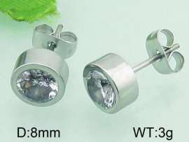 Stainless Steel Earring