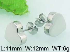 Stainless Steel Earring