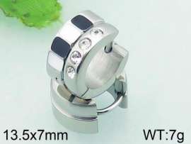 Stainless Steel Stone&Crystal Earring