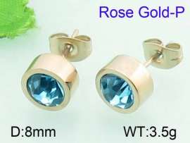 Stainless Steel Stone&Crystal Earring