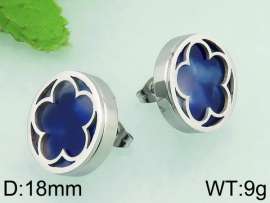 Stainless Steel Earring