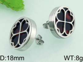 Stainless Steel Earring