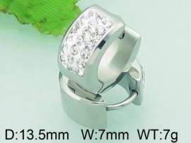 Stainless Steel Stone&Crystal Earring