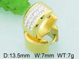 Stainless Steel Stone&Crystal Earring