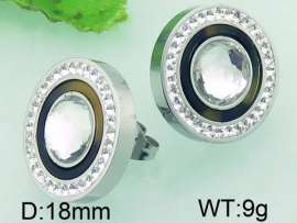 Stainless Steel Stone&Crystal Earring