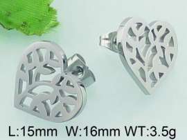 Stainless Steel Earring