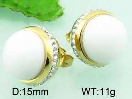 Stainless Steel Stone&Crystal Earring