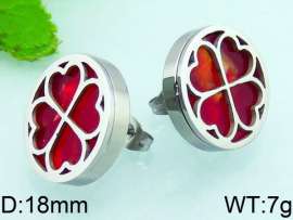 Stainless Steel Earring