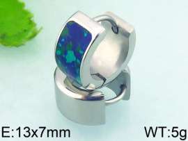 Stainless Steel Stone&Crystal Earring